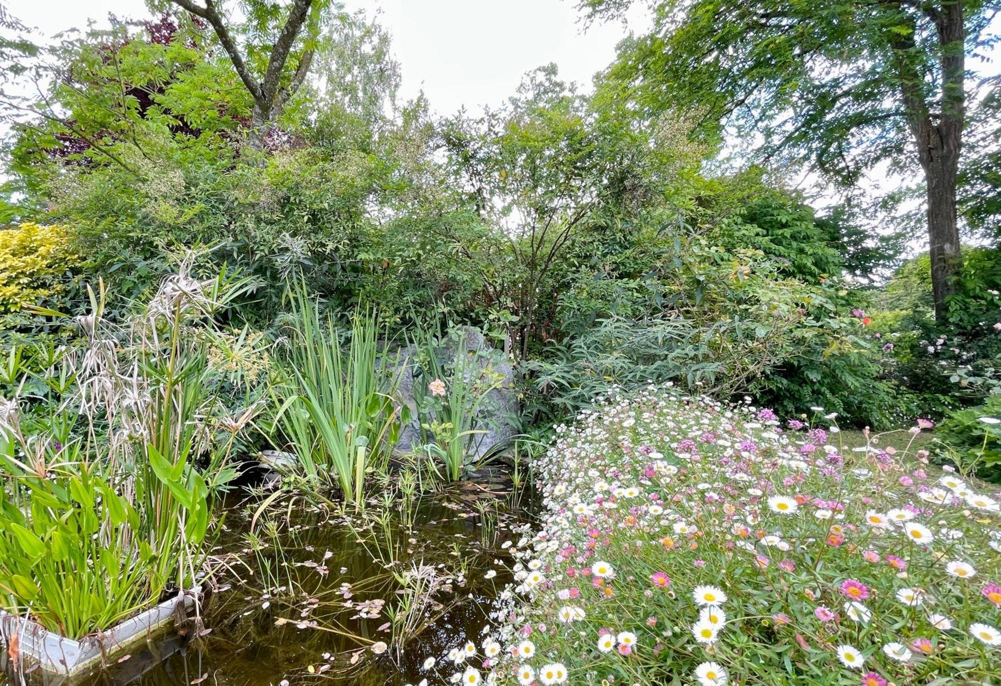 Chambre De Charme Dans Un Jardin De 1500M2 Nueil-sur-Layon ภายนอก รูปภาพ